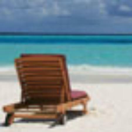 The Overstuffed Pizzeria